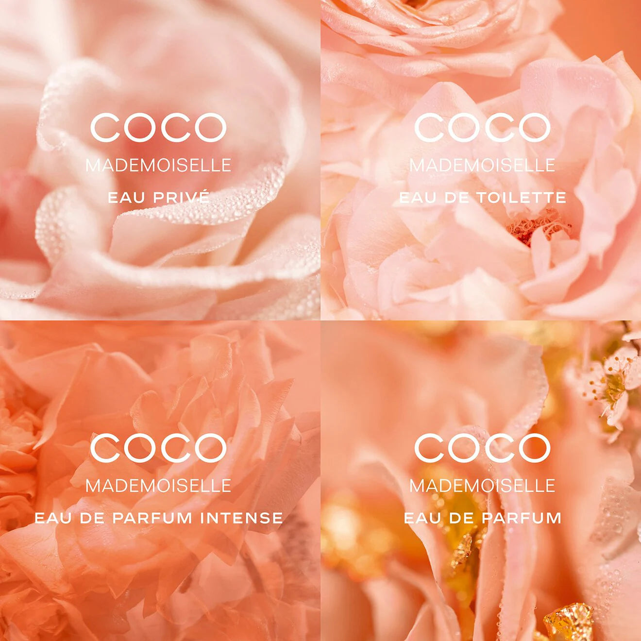 COCO MADEMOISELLE - L'Eau Privée Night Fragrance